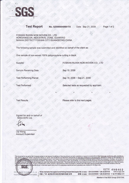 China Foshan Rayson Global CO., Ltd Certificações